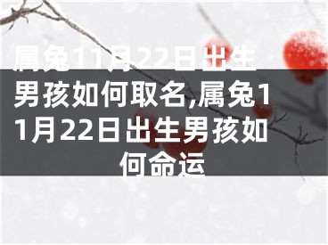 属兔11月22日出生男孩如何取名,属兔11月22日出生男孩如何命运