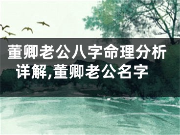董卿老公八字命理分析详解,董卿老公名字