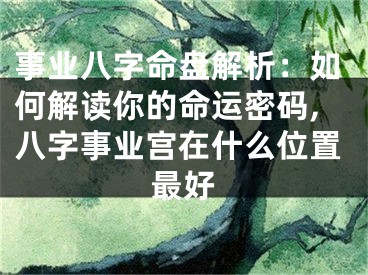 事业八字命盘解析：如何解读你的命运密码,八字事业宫在什么位置最好