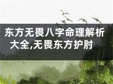 东方无畏八字命理解析大全,无畏东方护肘