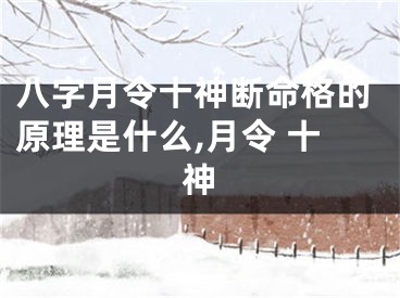 八字月令十神断命格的原理是什么,月令 十神