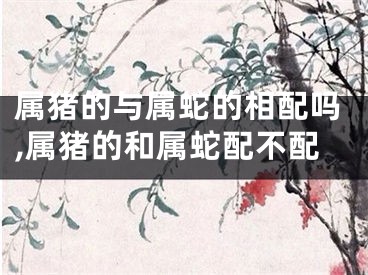 属猪的与属蛇的相配吗,属猪的和属蛇配不配