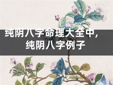 纯阴八字命理大全中,纯阴八字例子