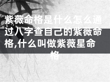 紫薇命格是什么怎么通过八字查自己的紫薇命格,什么叫做紫薇星命格