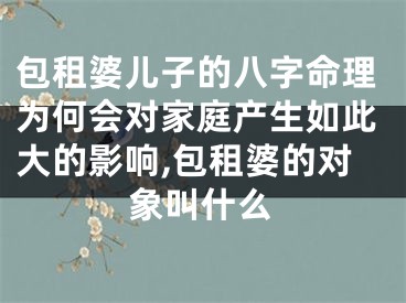 包租婆儿子的八字命理为何会对家庭产生如此大的影响,包租婆的对象叫什么