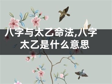八字与太乙命法,八字太乙是什么意思
