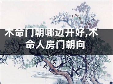 木命门朝哪边开好,木命人房门朝向