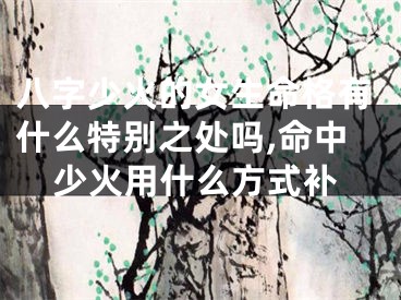 八字少火的女生命格有什么特别之处吗,命中少火用什么方式补