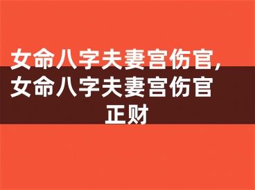 女命八字夫妻宫伤官,女命八字夫妻宫伤官 正财