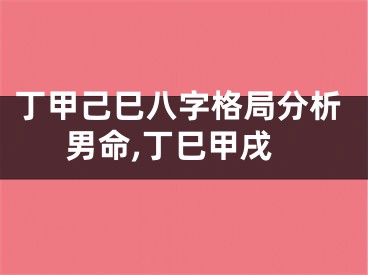 丁甲己巳八字格局分析男命,丁巳甲戌
