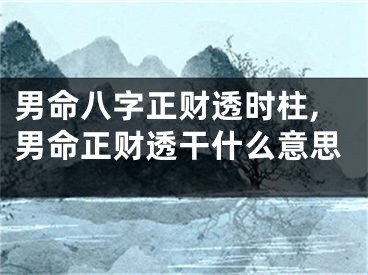 男命八字正财透时柱,男命正财透干什么意思