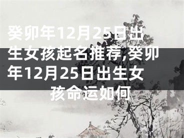 癸卯年12月25日出生女孩起名推荐,癸卯年12月25日出生女孩命运如何