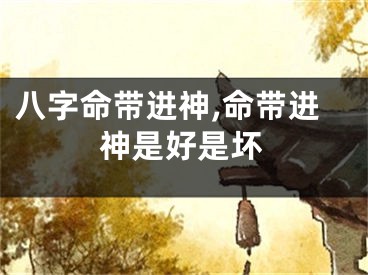 八字命带进神,命带进神是好是坏