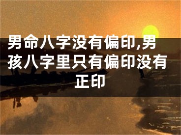 男命八字没有偏印,男孩八字里只有偏印没有正印
