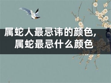 属蛇人最忌讳的颜色,属蛇最忌什么颜色