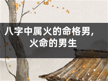八字中属火的命格男,火命的男生