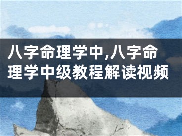 八字命理学中,八字命理学中级教程解读视频