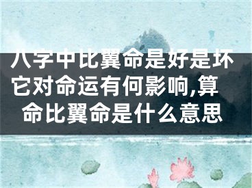 八字中比翼命是好是坏它对命运有何影响,算命比翼命是什么意思