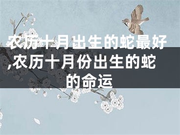 农历十月出生的蛇最好,农历十月份出生的蛇的命运