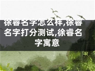 徐睿名字怎么样,徐睿名字打分测试,徐睿名字寓意