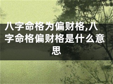 八字命格为偏财格,八字命格偏财格是什么意思
