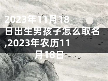 2023年11月18日出生男孩子怎么取名,2023年农历11月18日