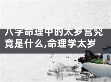 八字命理中的太岁宫究竟是什么,命理学太岁