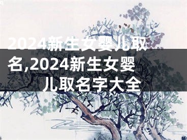 2024新生女婴儿取名,2024新生女婴儿取名字大全
