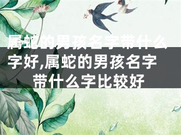 属蛇的男孩名字带什么字好,属蛇的男孩名字带什么字比较好