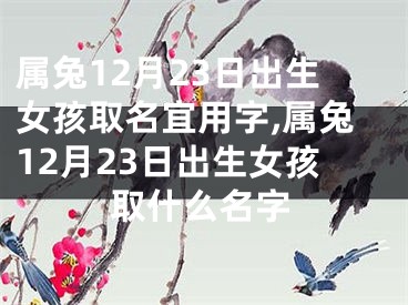 属兔12月23日出生女孩取名宜用字,属兔12月23日出生女孩取什么名字