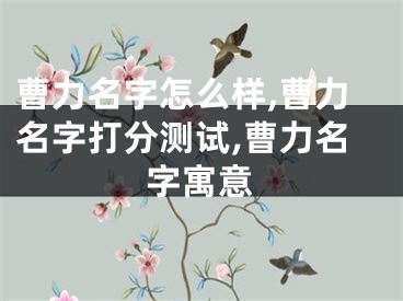 曹力名字怎么样,曹力名字打分测试,曹力名字寓意