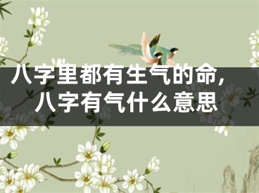 八字里都有生气的命,八字有气什么意思