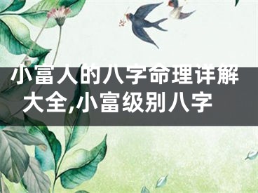 小富人的八字命理详解大全,小富级别八字