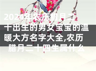 2024年农历腊月二十出生的男女宝宝的温暖大方名字大全,农历腊月二十四生属什么