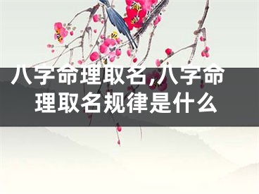 八字命理取名,八字命理取名规律是什么