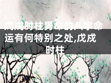 戊戌时柱男命的八字命运有何特别之处,戊戍时柱