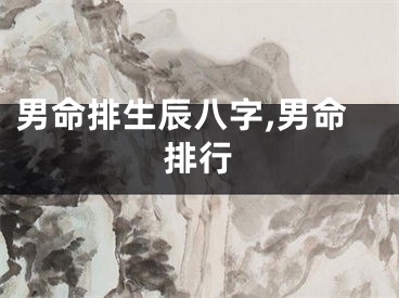 男命排生辰八字,男命排行