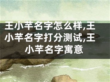 王小芊名字怎么样,王小芊名字打分测试,王小芊名字寓意