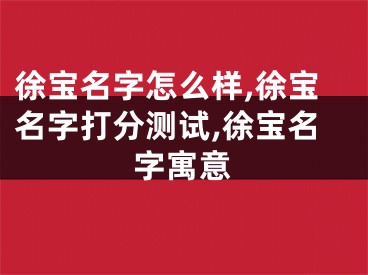 徐宝名字怎么样,徐宝名字打分测试,徐宝名字寓意