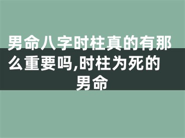 男命八字时柱真的有那么重要吗,时柱为死的男命