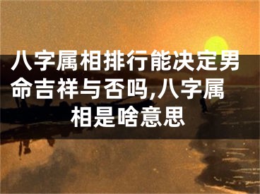 八字属相排行能决定男命吉祥与否吗,八字属相是啥意思
