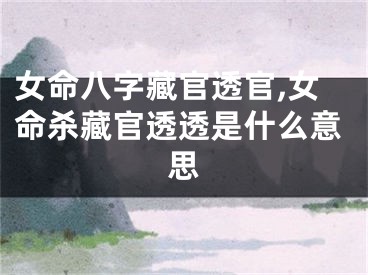 女命八字藏官透官,女命杀藏官透透是什么意思