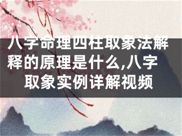 八字命理四柱取象法解释的原理是什么,八字取象实例详解视频