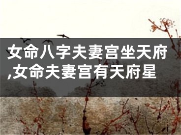 女命八字夫妻宫坐天府,女命夫妻宫有天府星
