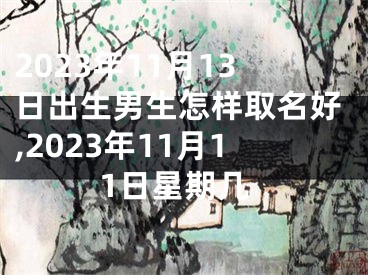 2023年11月13日出生男生怎样取名好,2023年11月11日星期几