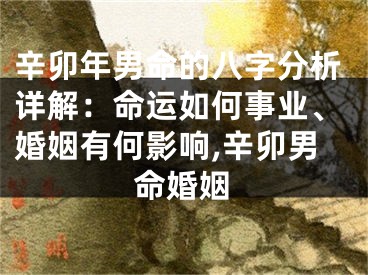 辛卯年男命的八字分析详解：命运如何事业、婚姻有何影响,辛卯男命婚姻