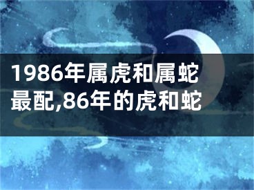 1986年属虎和属蛇最配,86年的虎和蛇