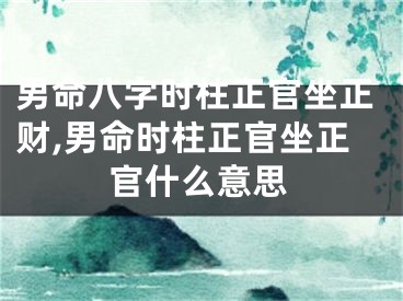 男命八字时柱正官坐正财,男命时柱正官坐正官什么意思