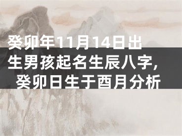 癸卯年11月14日出生男孩起名生辰八字,癸卯日生于酉月分析
