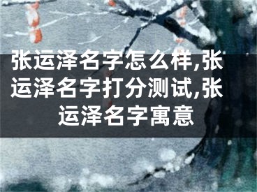 张运泽名字怎么样,张运泽名字打分测试,张运泽名字寓意